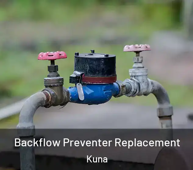  Backflow Preventer Replacement Kuna