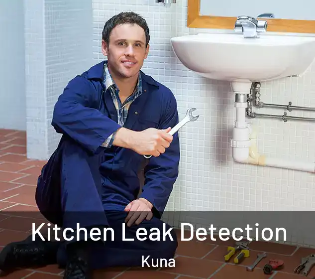  Kitchen Leak Detection Kuna