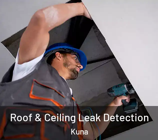  Roof & Ceiling Leak Detection Kuna