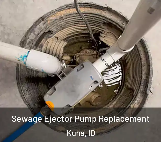  Sewage Ejector Pump Replacement Kuna, ID