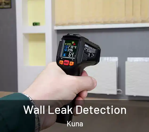  Wall Leak Detection Kuna