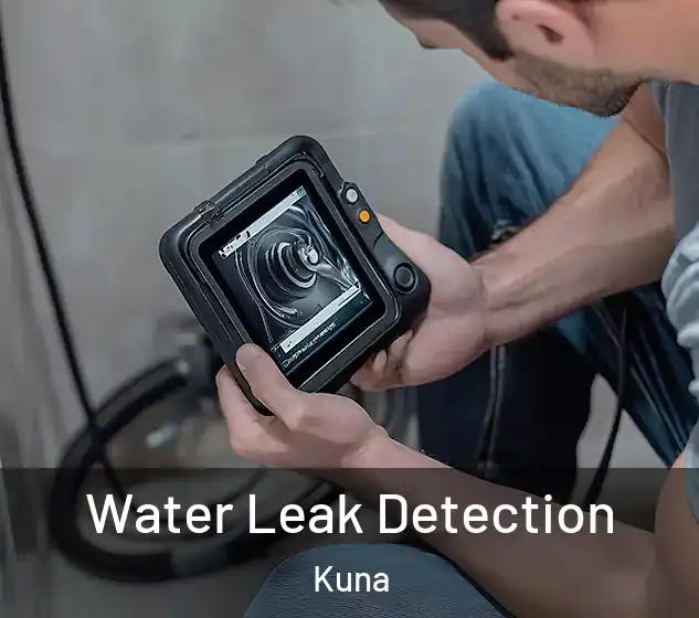  Water Leak Detection Kuna