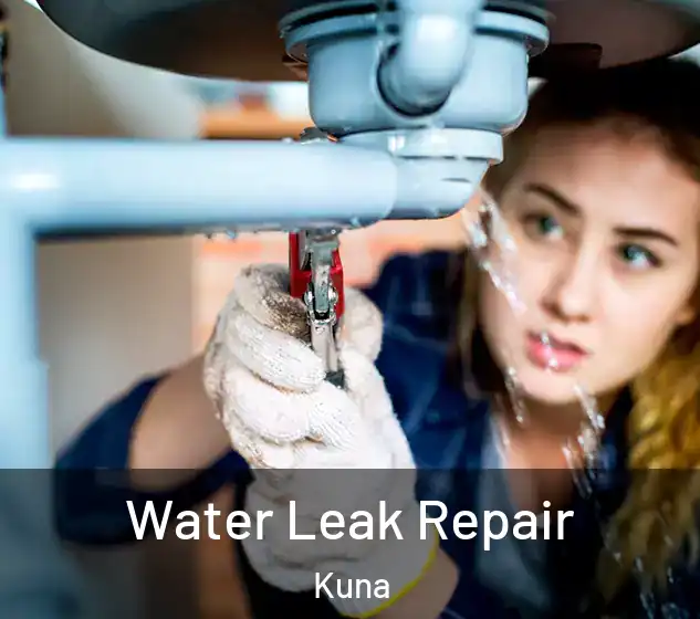 Water Leak Repair Kuna